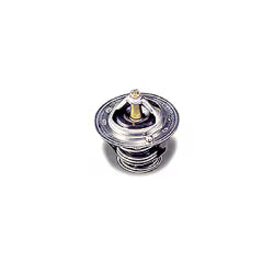 RP42977 Thermostat Assy TD2100